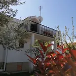 Magnolia