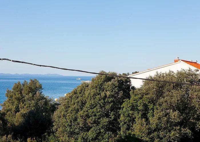 아파트 Magnolia 돈제페트레케인